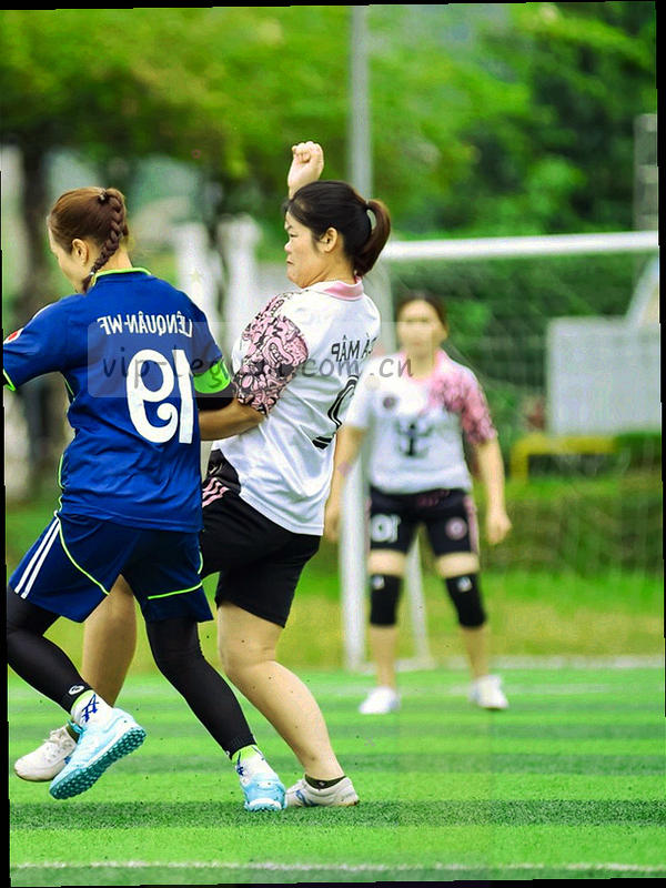 打开的文件图形，内部有文字行和金色高亮